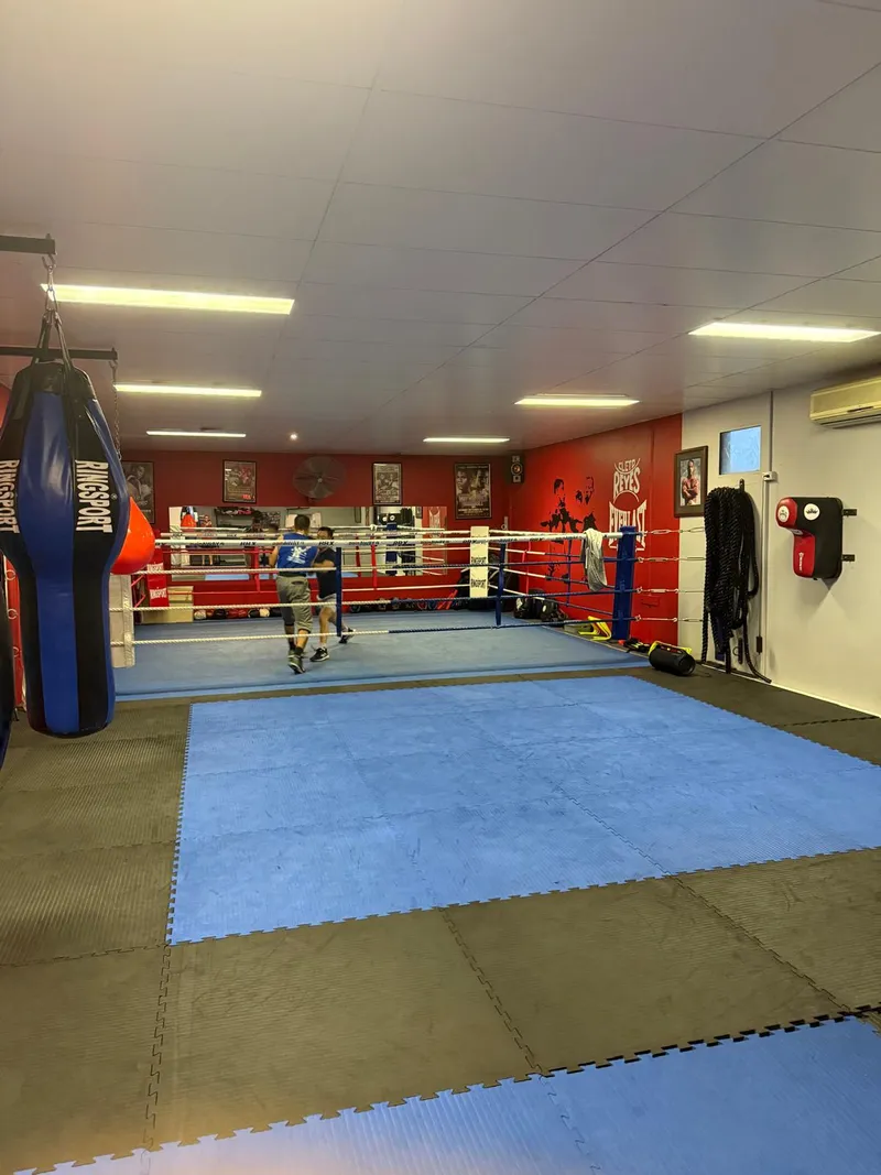 Boxing ring upstairs at The Dungeon Boxing